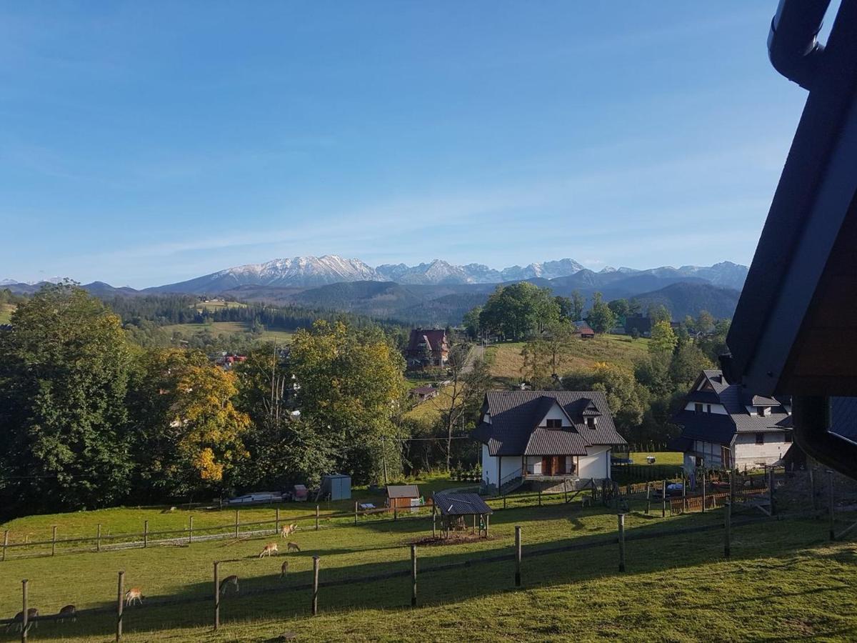 Apartamenty Gorska Mila Apartzakop Закопане Екстер'єр фото